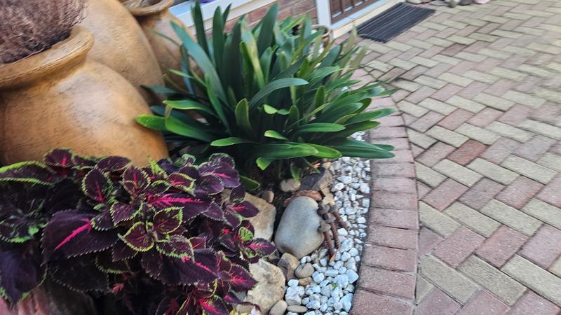 6 Bedroom Property for Sale in Fraaiuitsig Western Cape